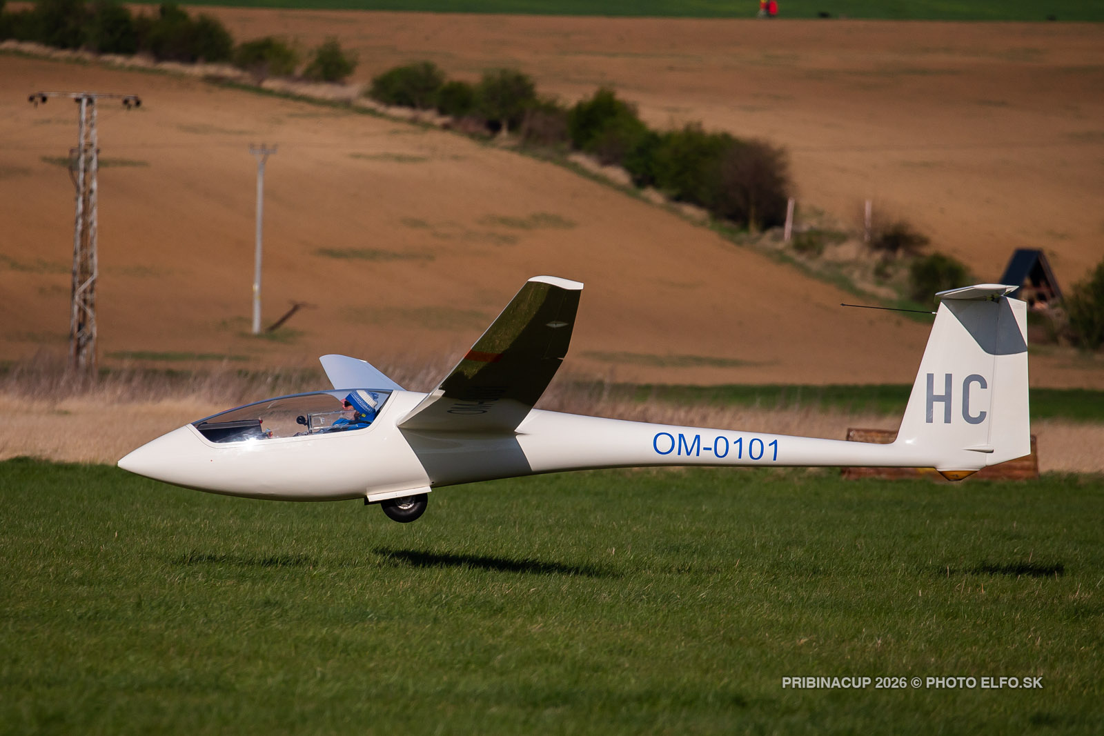 033_1DX_2078.jpg